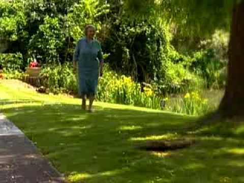 stannah stairlifts video daphnes