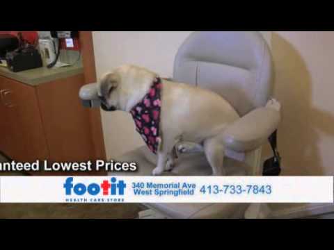 pug on a stairlift chair lift fo