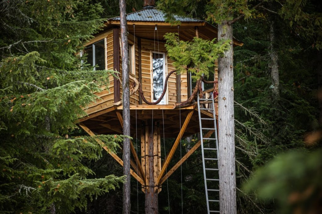 bicycle powered tree home elevat